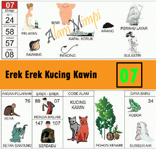 Erek Erek Kucing Kawin